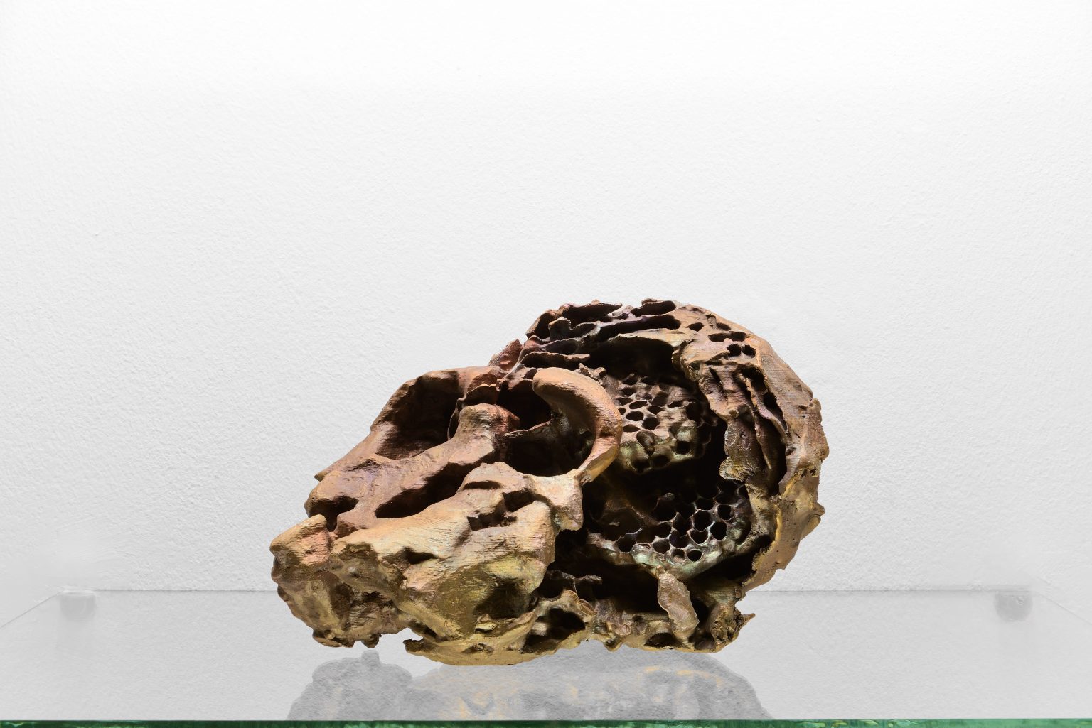 04. Nicolás Lamas, Collective memory, 2025, installation view, Vitrine, Matèria, Roma. Courtesy of the artist and max goelitz. Photo by Roberto Apa