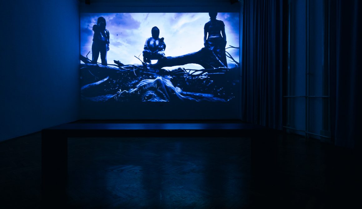 The World Is Sleepwalking_installation view-18