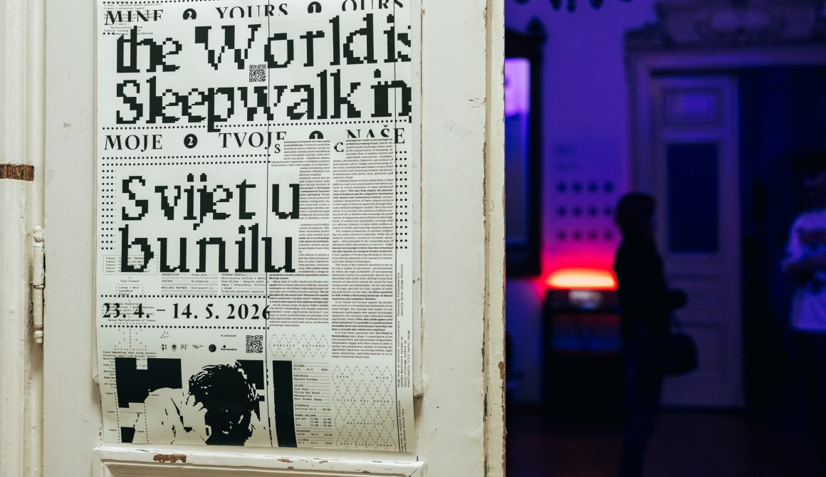 The World Is Sleepwalking_poster